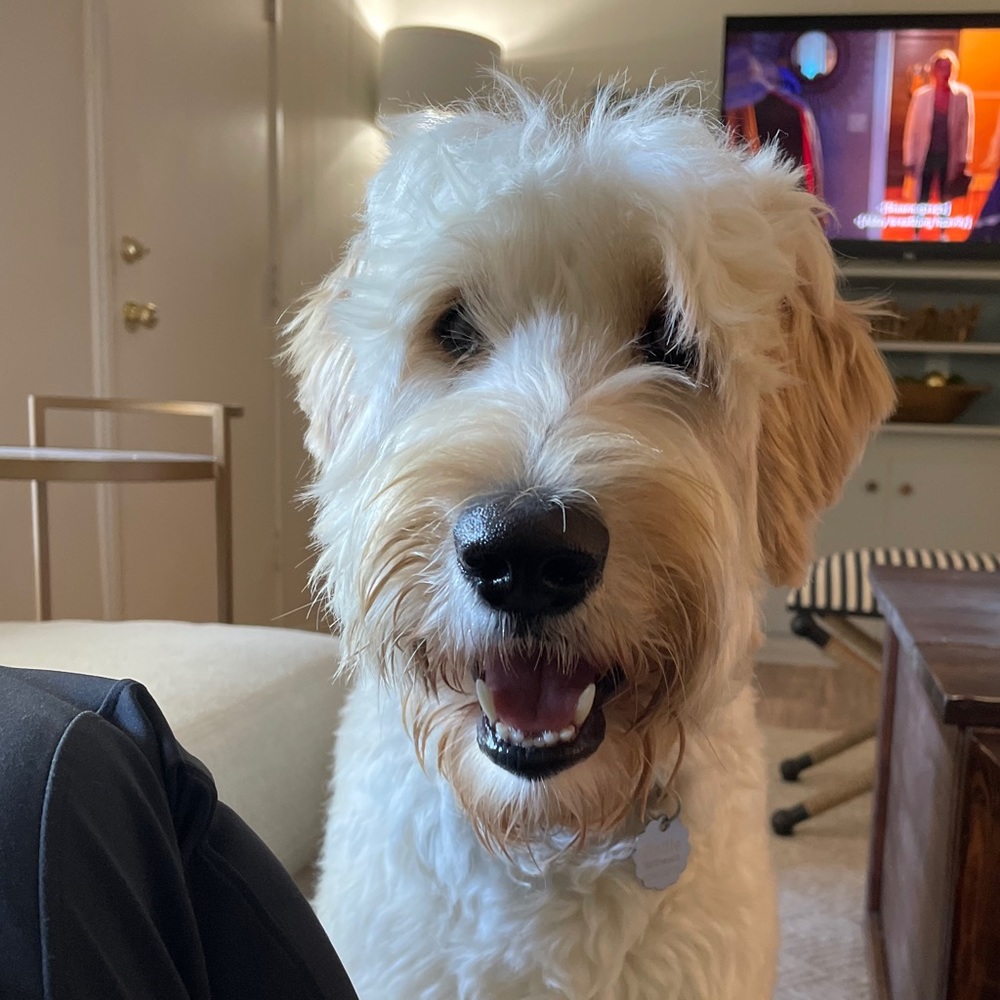 Meet your Posher, Mary grace